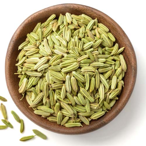Fennel